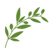 olive tree symbol